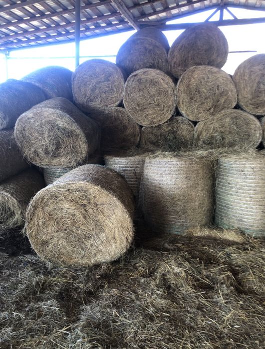 Baloti rotunzi amestec lucerna si fan de vanzare