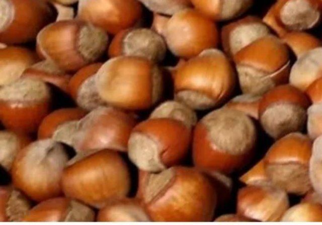 Начинается время посадки