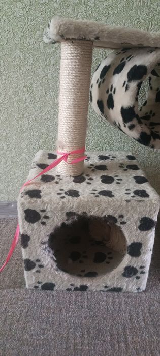 Домик для кошек животные