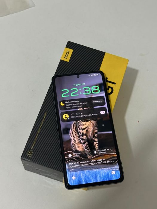 Poco F4 GT 12/256