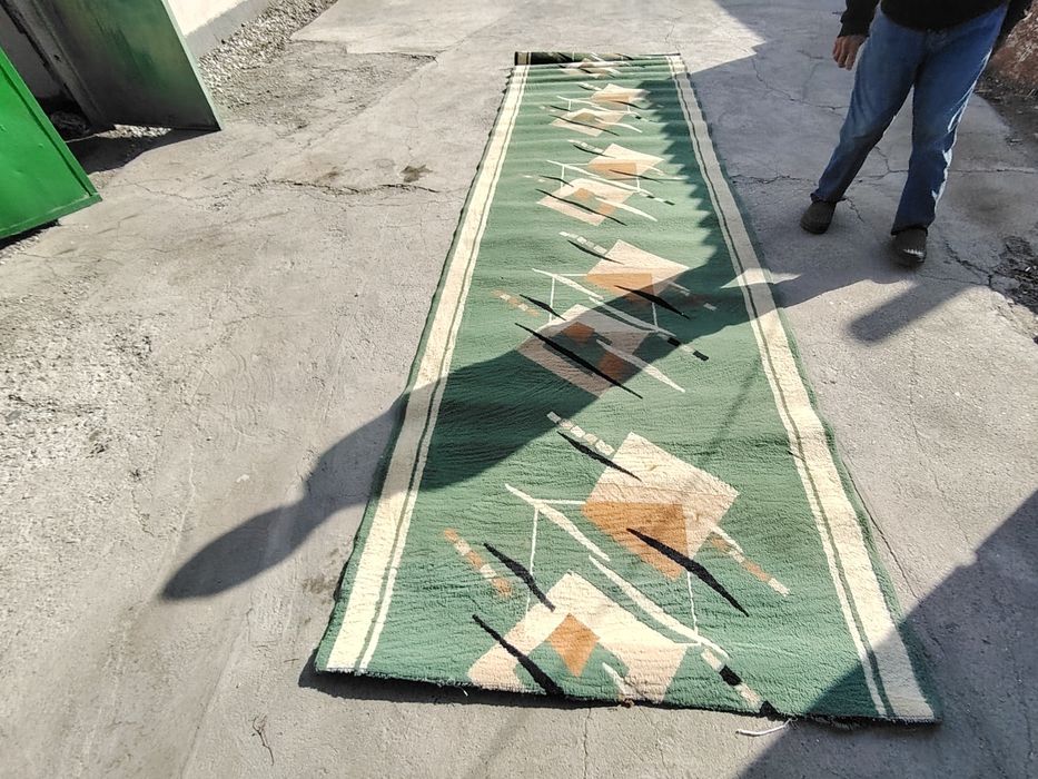 Палаз пр-ся   длинный