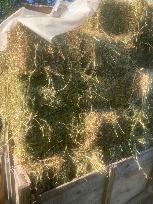 Baloți dreptunghiulari