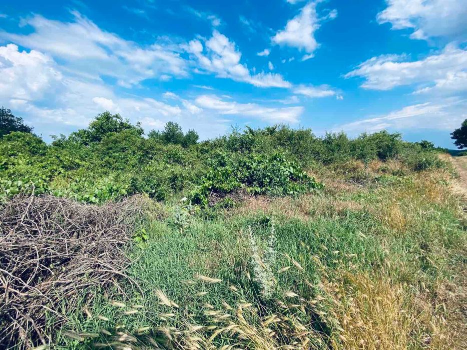 Продава се Земеделски имот в Варна, Възраждане 1 -  кв.м за 30 €/дка - Снимка #8