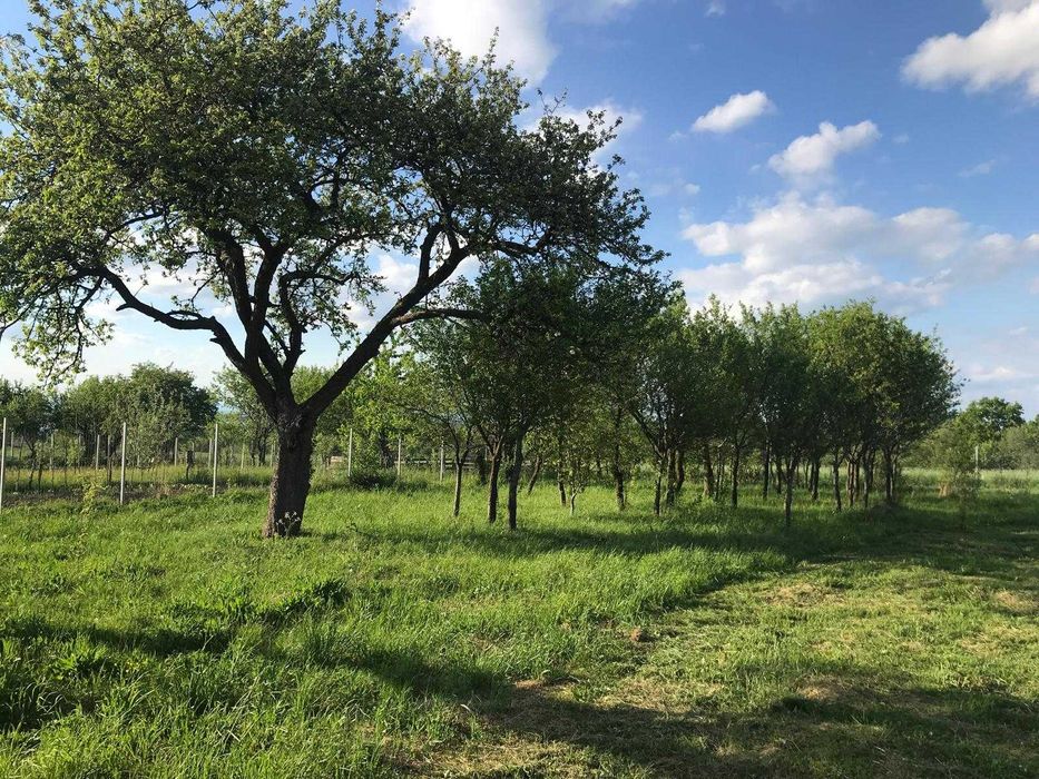 Vând  teren cu autorizație de construcție casă în com. Căpușu Mare