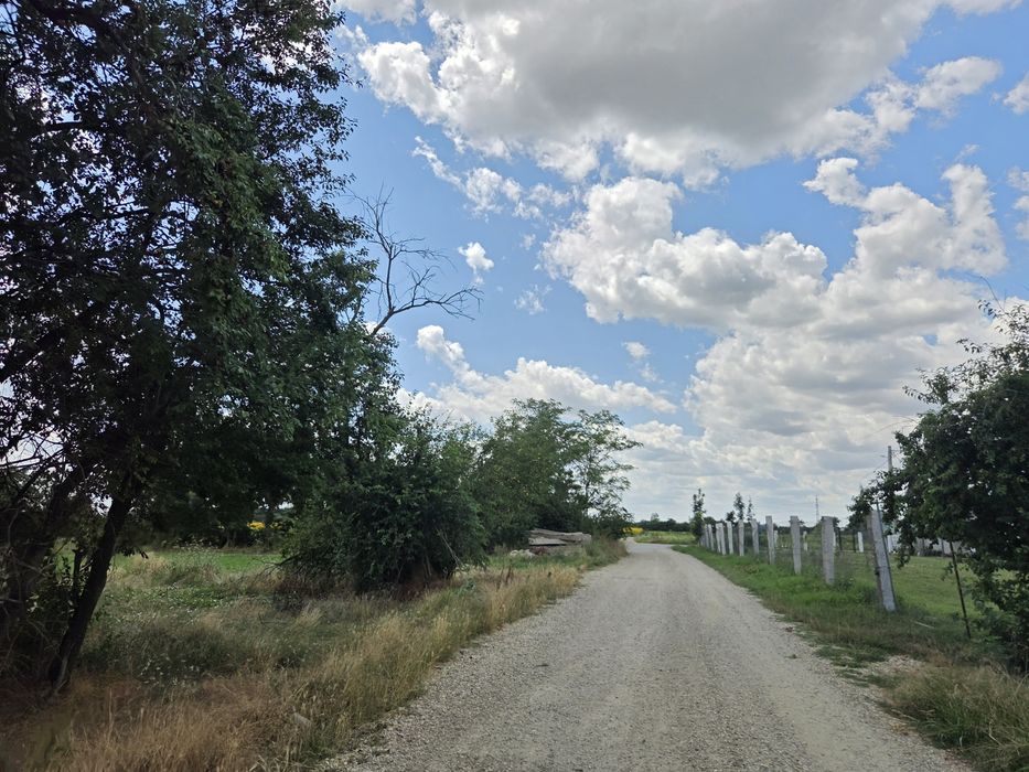 Teren intravilan 5000mp Buriaș, Periș IF