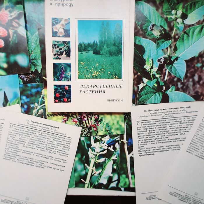Открытки юному ботанику