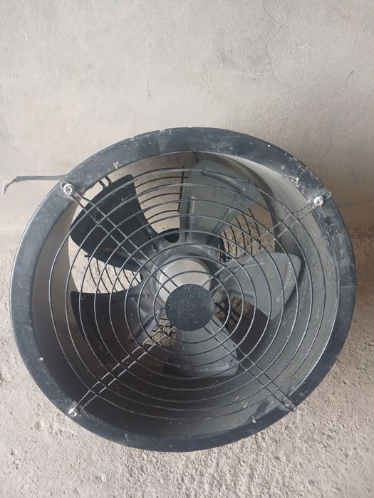 Броллер товук бокиш учун жихозлар