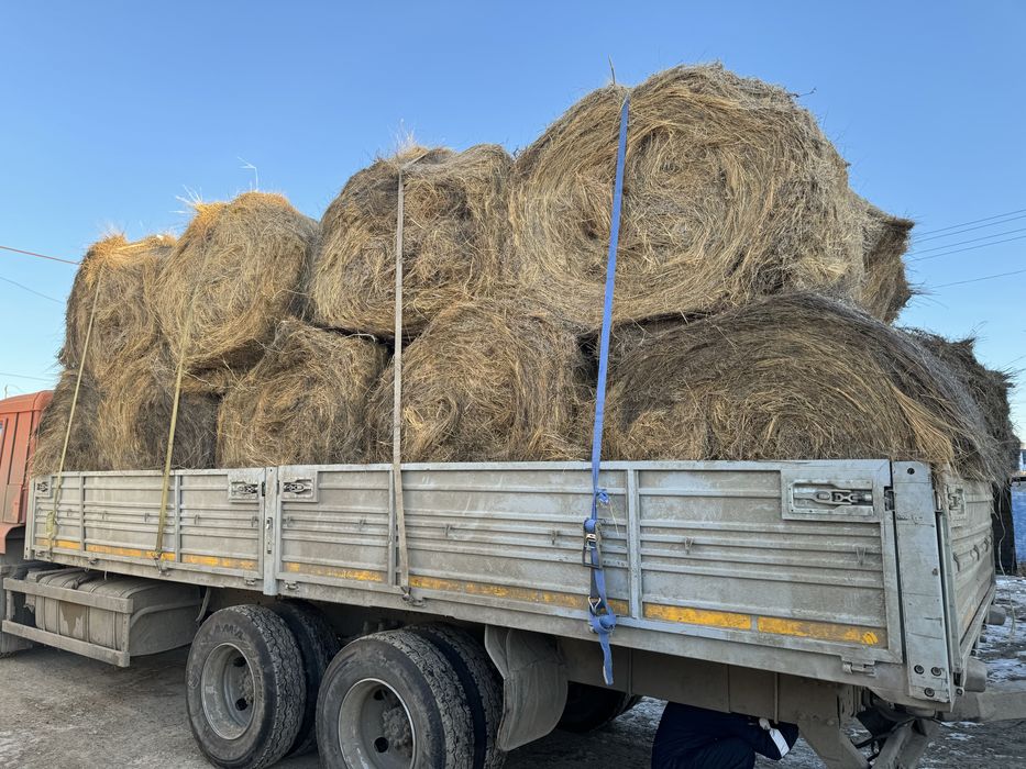 Шоп руллон улкен тыгыз 12мын (сено)