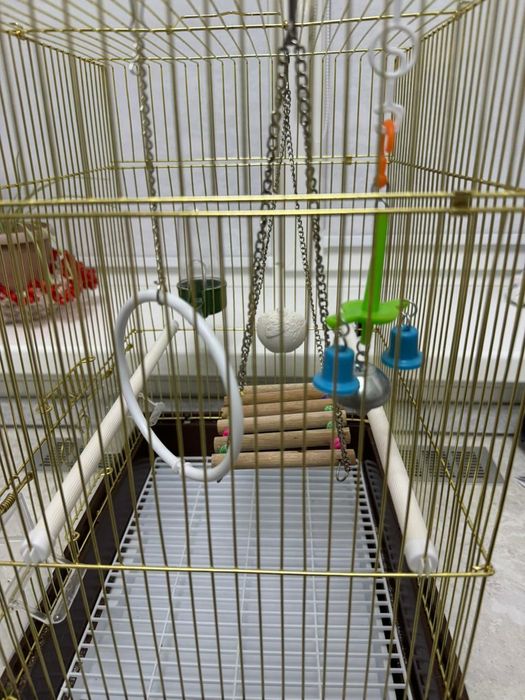 Клетка для попугаи,Комплект