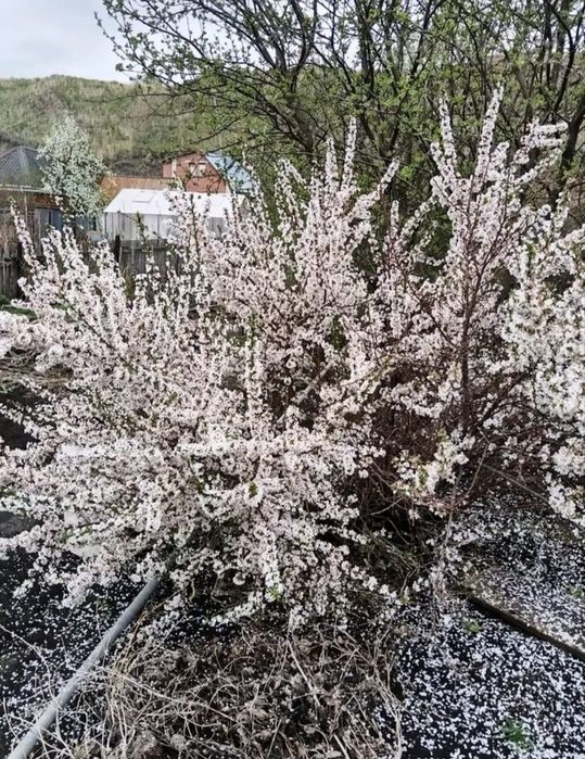 Продам дачу на Железнодорожных дачах