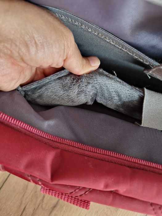 Ноутбук DELL Inspiron 15