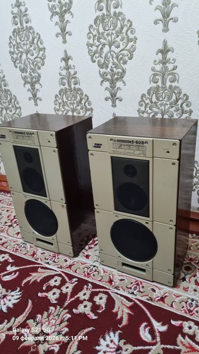 Radiotehnika S-50 sotiladi