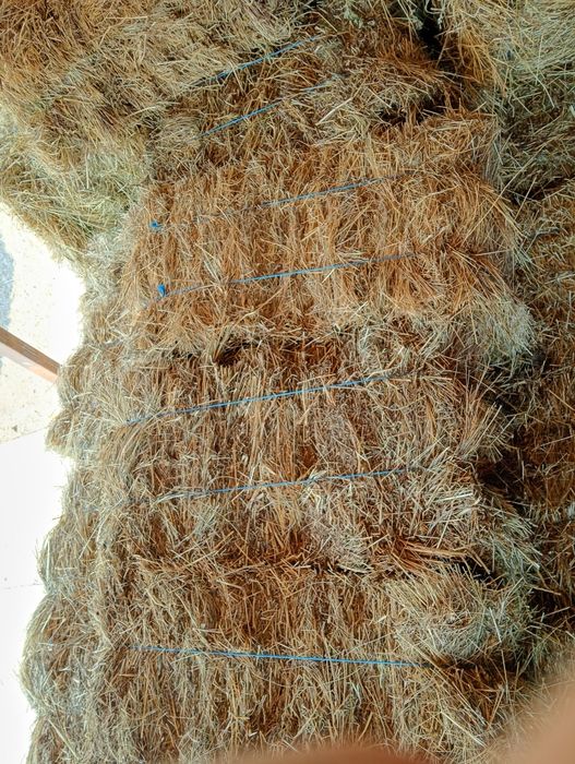 Vând baloți de fân