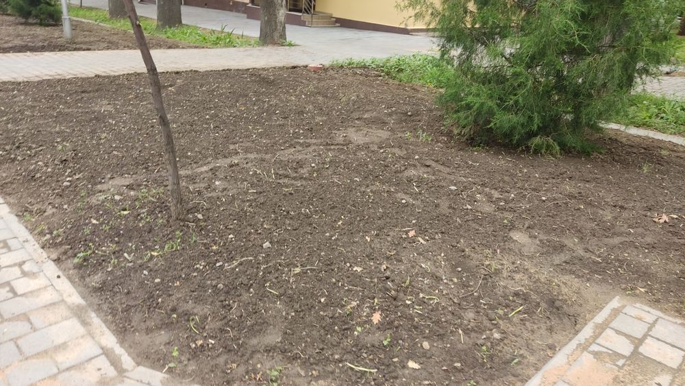 Гидропосев газона