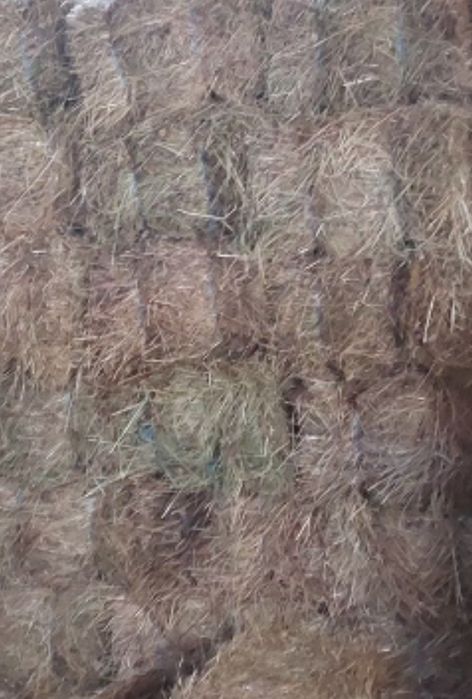 Baloti de fan și lucerna