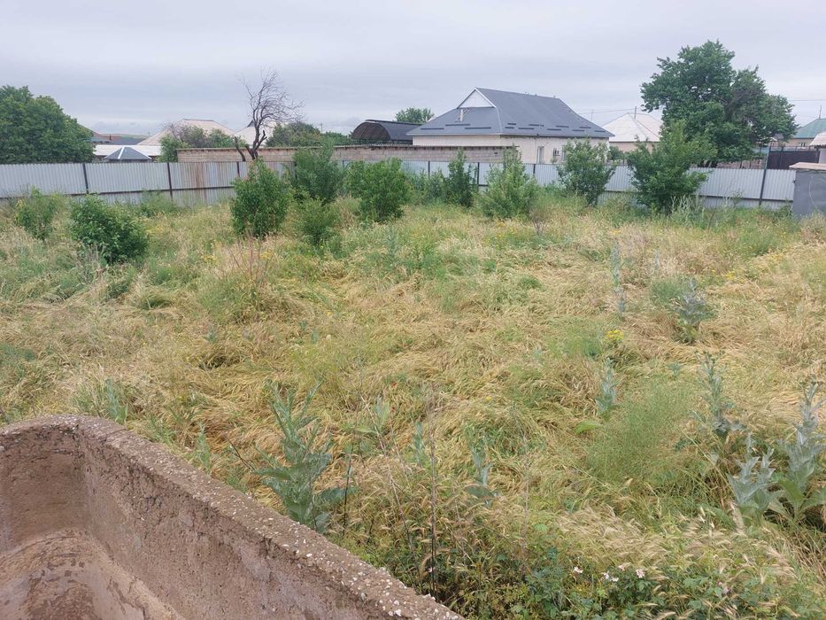 Продам дачу на Чубарсу 12сот.