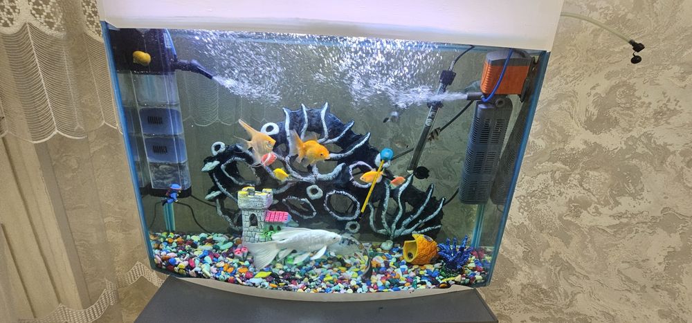 Продаётся аквариум с мирным рыбками на 110 литров