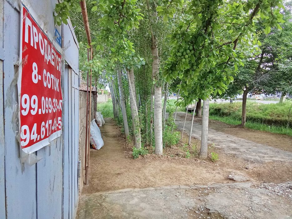 Шоро бозорда 8 сотих ер сотилади