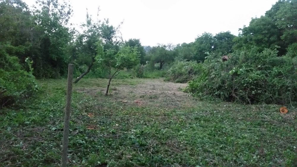 Косене на всякакъв вид треви и терени, рязане дървета и поваляне