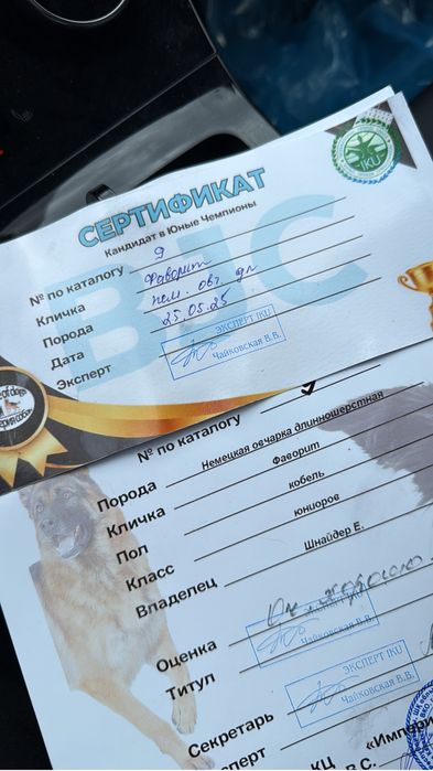 Предлагается к вязке