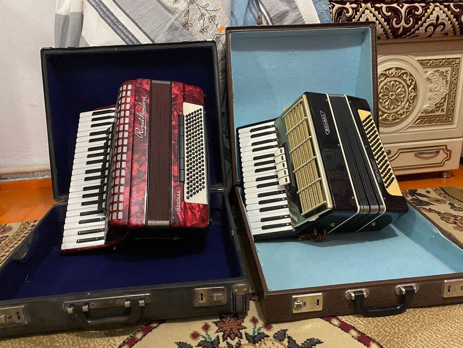Музыкальный инструмент Аккордеон