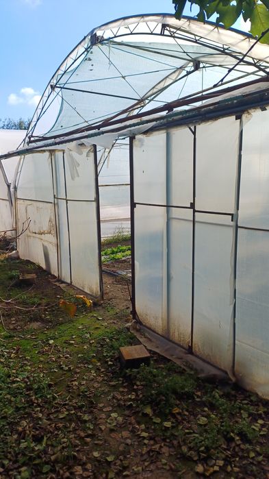 Оранжерия-Асеноградска