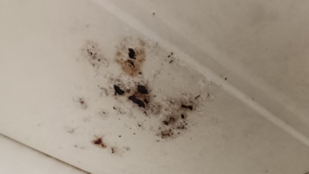 Продам СВЧ элемберг