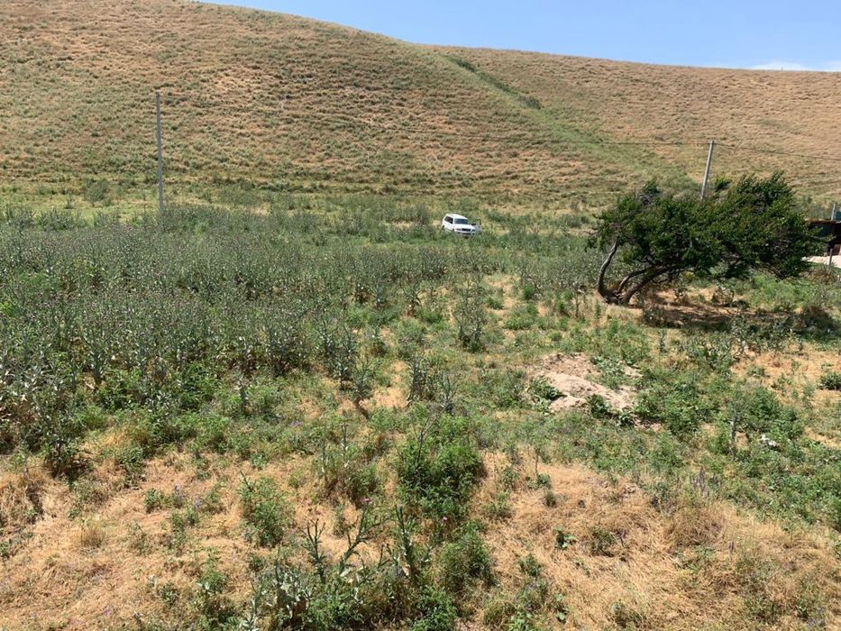 Продаю Участок 20 соток