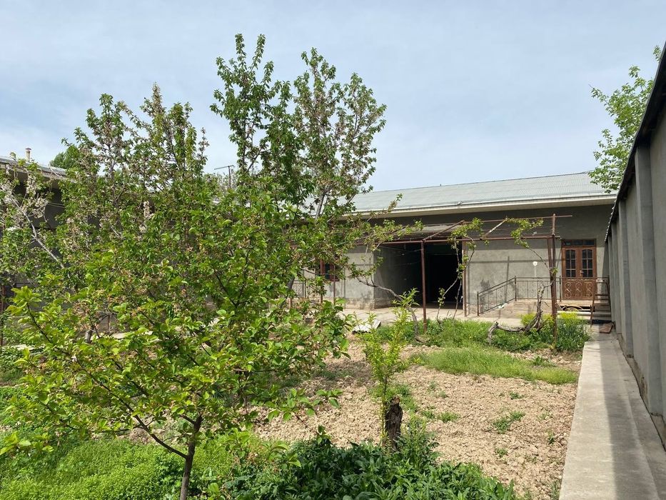 7 sotixli honodon sotiladi