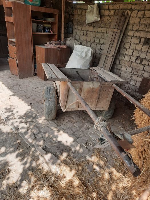 Ешак Арава сотилади