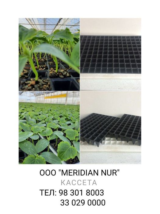 Kaseta sotiladi 150 talik