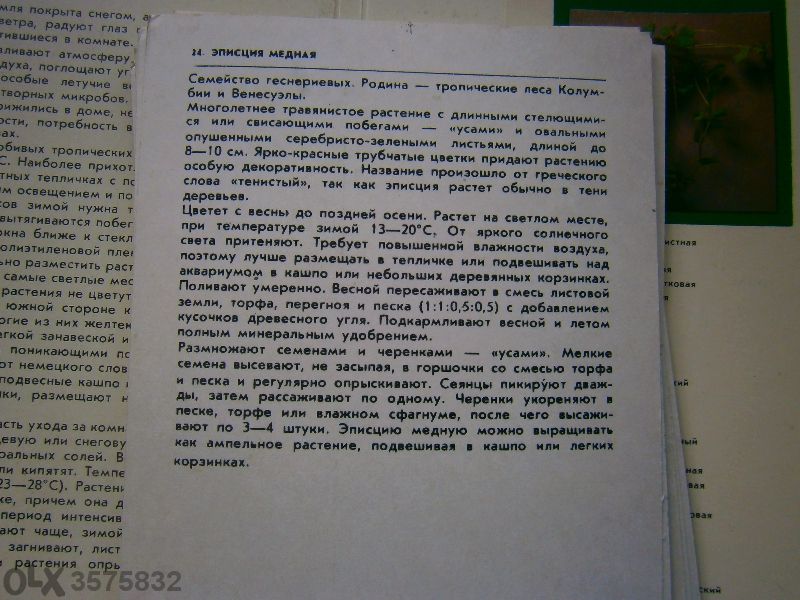 Растенията в дома ни (руски)