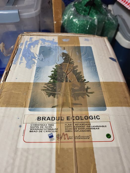 Brad ecologic de Crăciun