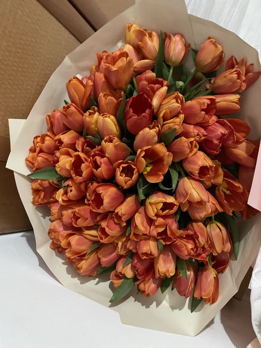 Продам 101 тюльпан