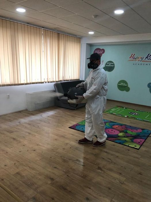 Servicii Deratizare/Dezinsecție Oradea și în județul Bihor