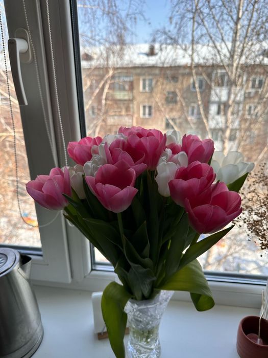 Тюльпан отборный крупный