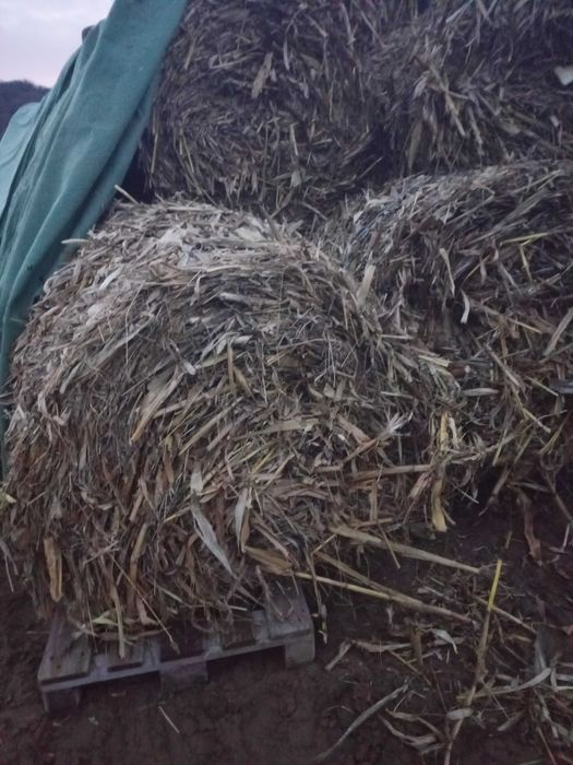 vind baloti rotunzi de tocatura de coceni de porumb 120 pe 120