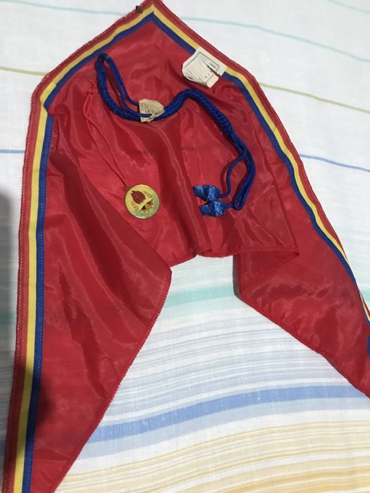 cravata de pionier,snur si insigna