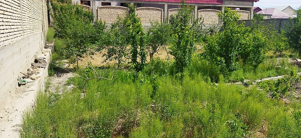 Uchаska sotiladi yermaydoni