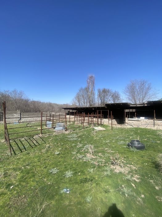 дом лпх 25 сотков