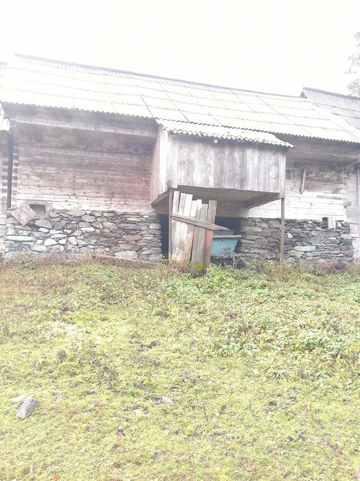 Vind grajd din birna