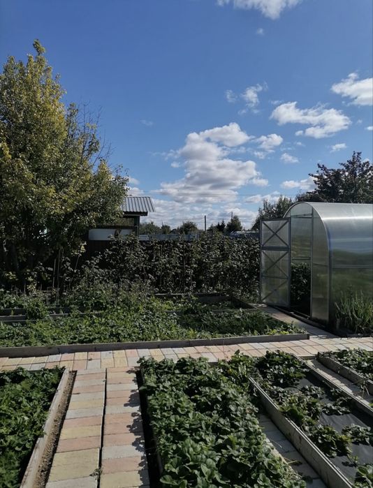 Продам дачу СТ Ромашка 40 линия