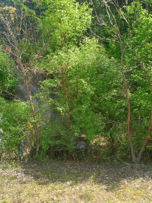 Продава се Къща в с. Луково, Област София-област - 24 кв.м за 625 €/кв.м - Снимка #7