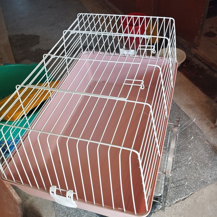 Клетки две штуки,для кроликов и попугаев.