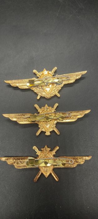 Знак классности летчика
