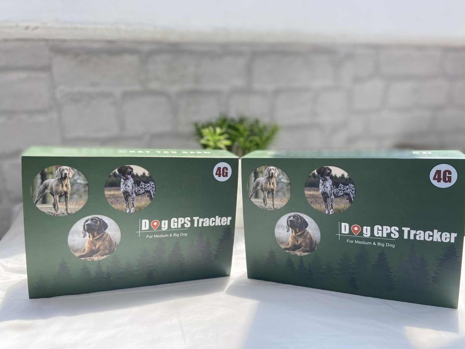 GPS Нашийник IK122T Icar 4G IP68 с приложение и неограничен обхват