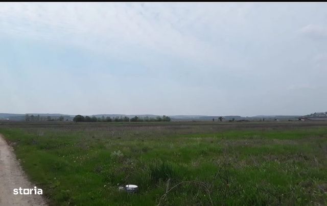 Teren intravilan, 12500 mp, Beharca