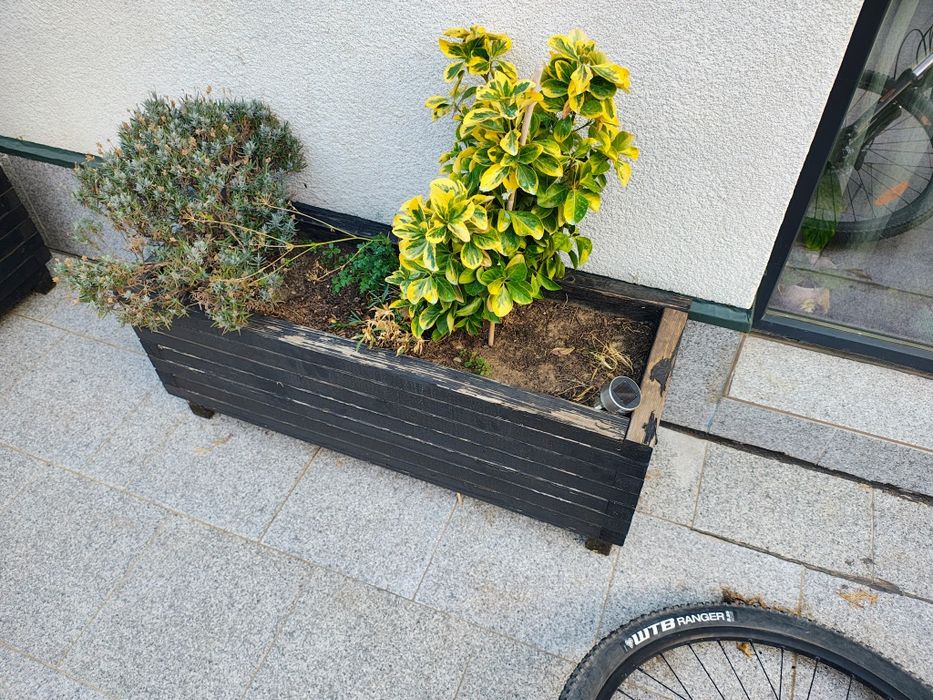 Vand jardiniera flori din lemn