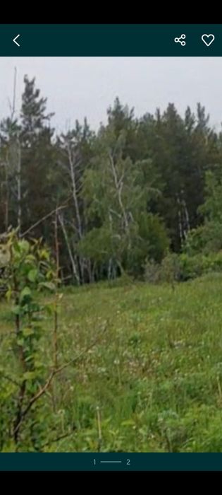 Срочно продаю участок Жукей