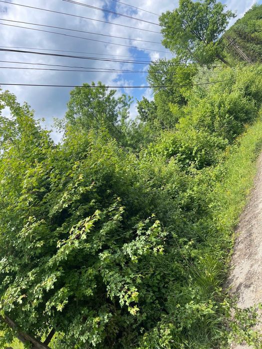 Teren provita de sus